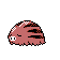 Swinub gen2