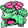 Venusaur gen2
