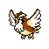 Pidgey sprite gen 2