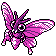 Venomoth sprite gen 2