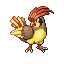 Pidgeotto gen3