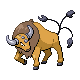 Tauros gen4