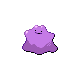 Ditto gen4