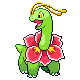 Meganium gen4