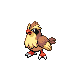 Pidgey gen4