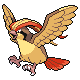 Pidgeot gen4