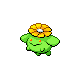 Skiploom gen4