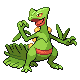 Sceptile gen4
