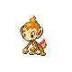Chimchar gen4
