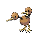 Doduo gen4